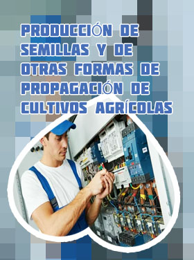 Ropa electricista